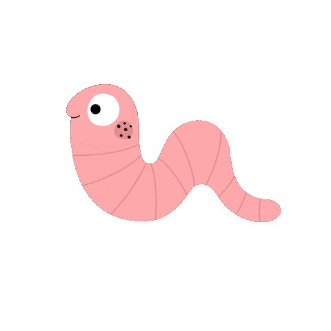 Cuncuna